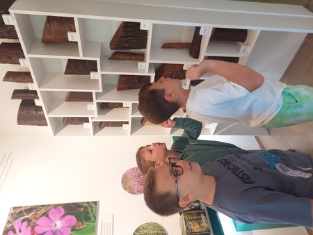 Trije tedni razigranega otroškega smeha – zaključek Ravensko razgibanega poletja (12)